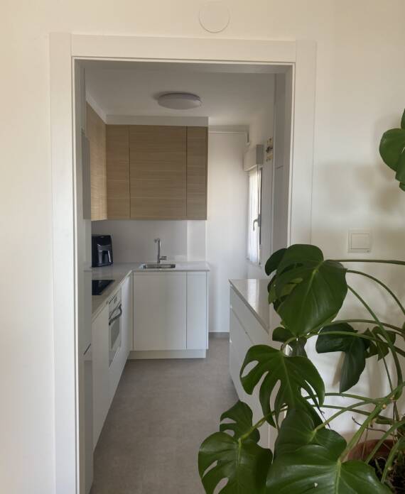 vision general de la cocina reformada